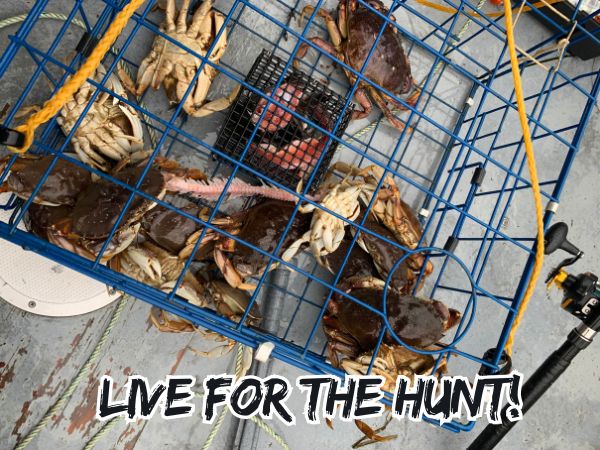Crab Cage Trap