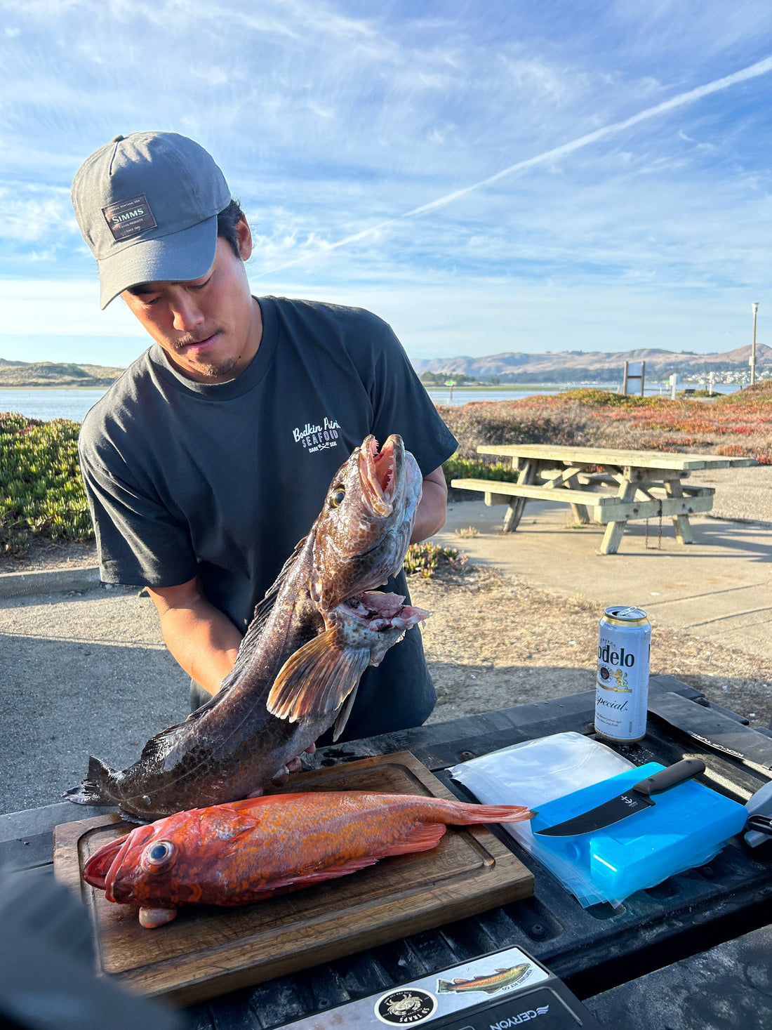 Lingcod and Red Rockfish Bodega, Bay CA 2025