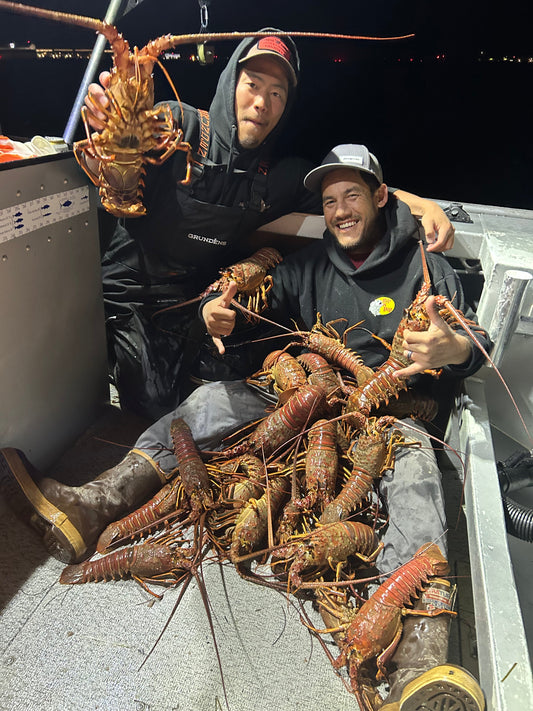 Socal Spiny Lobster