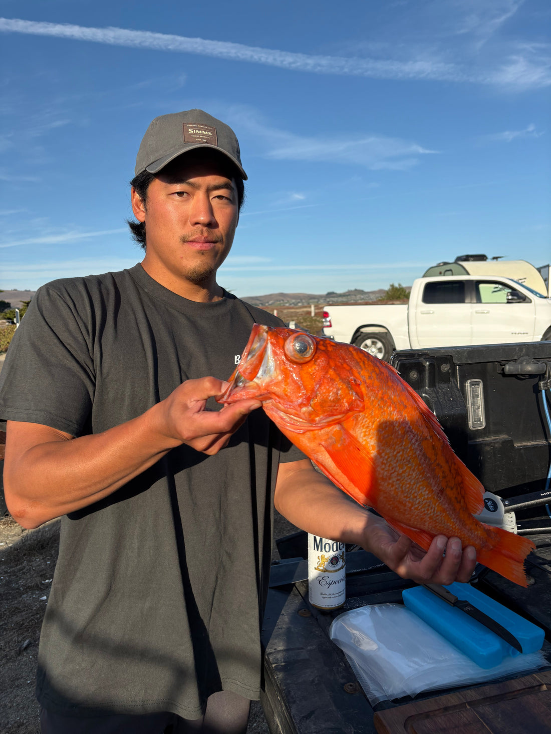 Northern California Rockfish