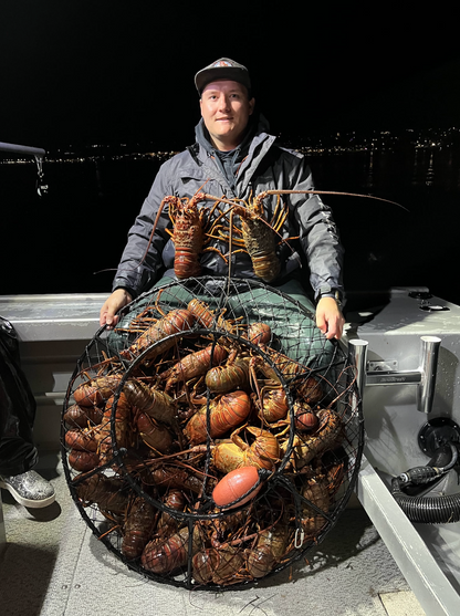 5 PACK Fathom Trap 36 Inch Hoop Net