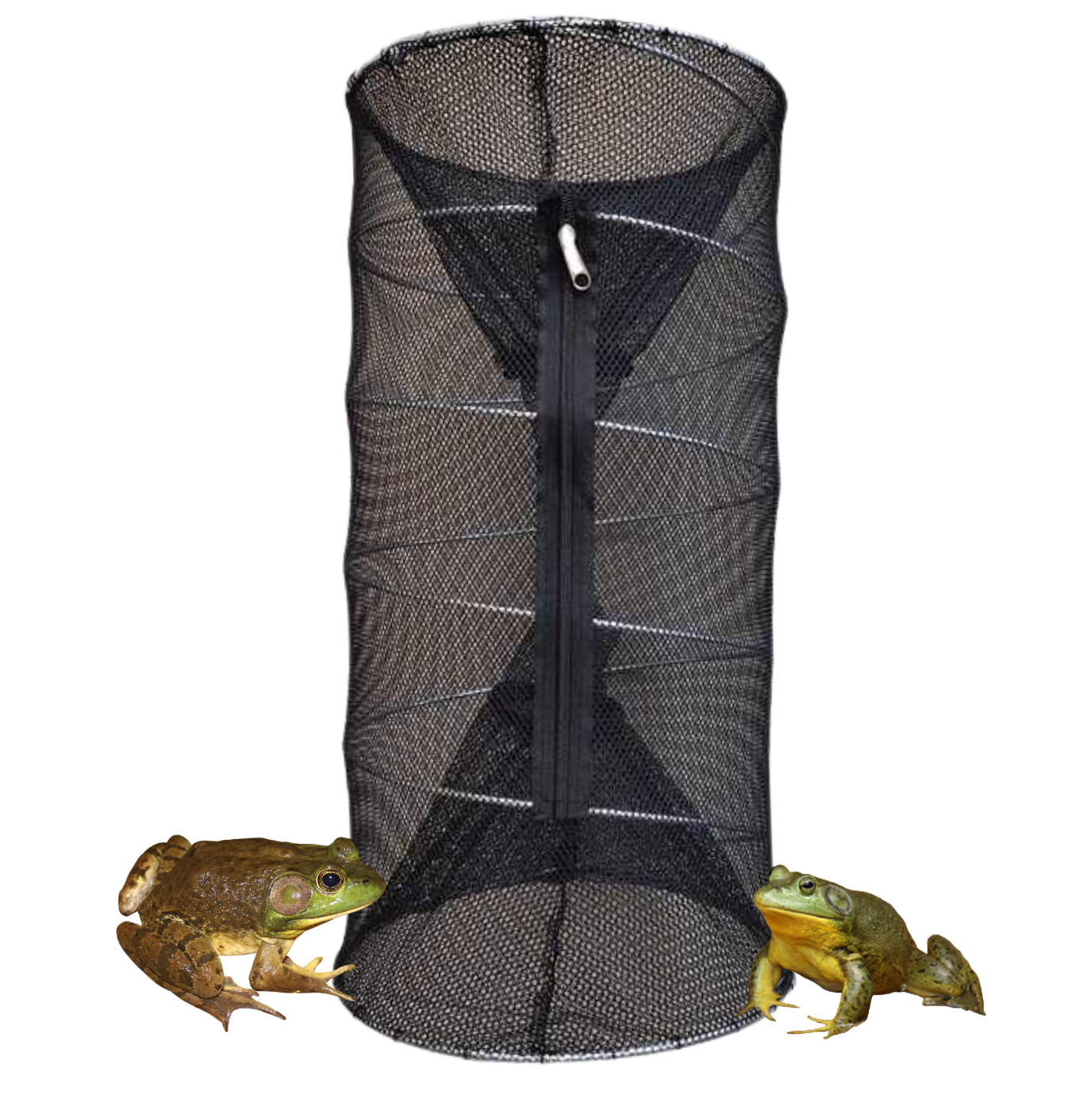 10 Bull Frog Tadpole Trap Wholesale (10 Pack)