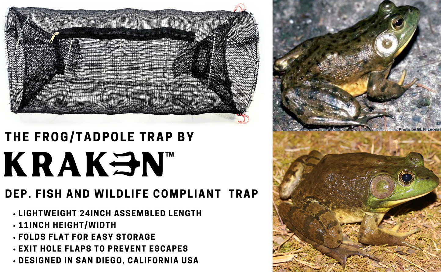 10 Bull Frog Tadpole Trap Wholesale (10 Pack)